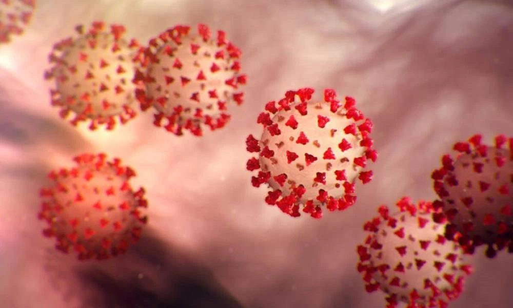 Μετάλλαξη Δέλτα: Σαρηγιάννης και Σουρβίνος περιμένουν νέο 'ξέσπασμα"